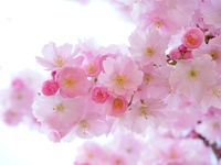 Гороскоп на 22 мая 2022 года для всех знаков зодиака