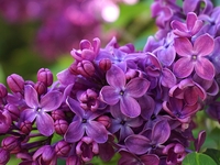 Гороскоп на 23 мая 2022 года для всех знаков зодиака