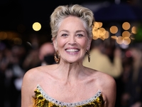 Каннский фестиваль 2022: Шэрон Стоун поддержала Украину сине-желтым нарядом