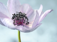 Гороскоп на 28 мая 2022 года для всех знаков зодиака