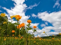 Гороскоп на 29 мая 2022 года для всех знаков зодиака