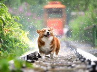 Гороскоп на 31 мая 2022 года для всех знаков зодиака