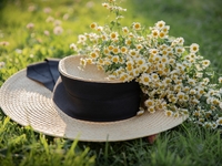 Гороскоп на 1 июня 2022 года для всех знаков зодиака