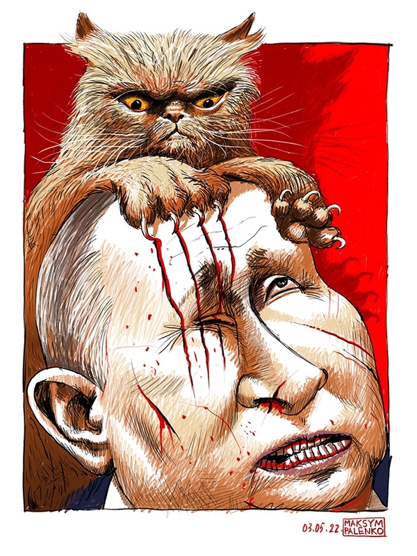 Кот из Бородянки и Путин