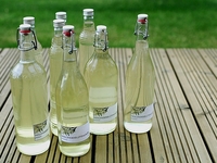 Як приготувати лікер із квіточок бузини