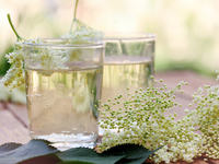 Газировка из цветов бузины: как приготовить