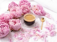 Гороскоп на 5 июня 2022 года для всех знаков зодиака