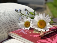 Гороскоп на 13 червня 2022 року для всіх знаків зодіаку