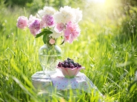 Гороскоп на 14 червня 2022 року для всіх знаків зодіаку