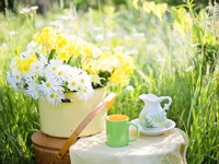 Гороскоп на 16 червня 2022 року для всіх знаків зодіаку