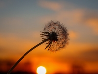 Гороскоп на 18 червня 2022 року для всіх знаків зодіаку