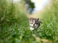 Гороскоп на 19 червня 2022 року для всіх знаків зодіаку