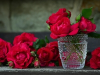 Гороскоп на 22 червня 2022 року для всіх знаків зодіаку