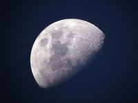 Місячний посівний календар на серпень 2022 року