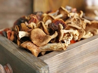 Як правильно сушити гриби?