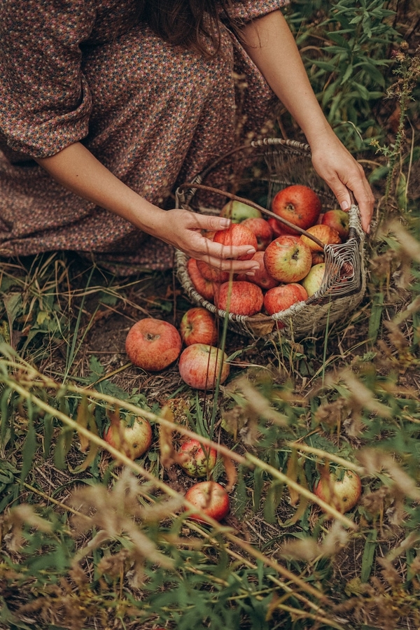 Фотограф: Irina Iriser: https://www.pexels.com