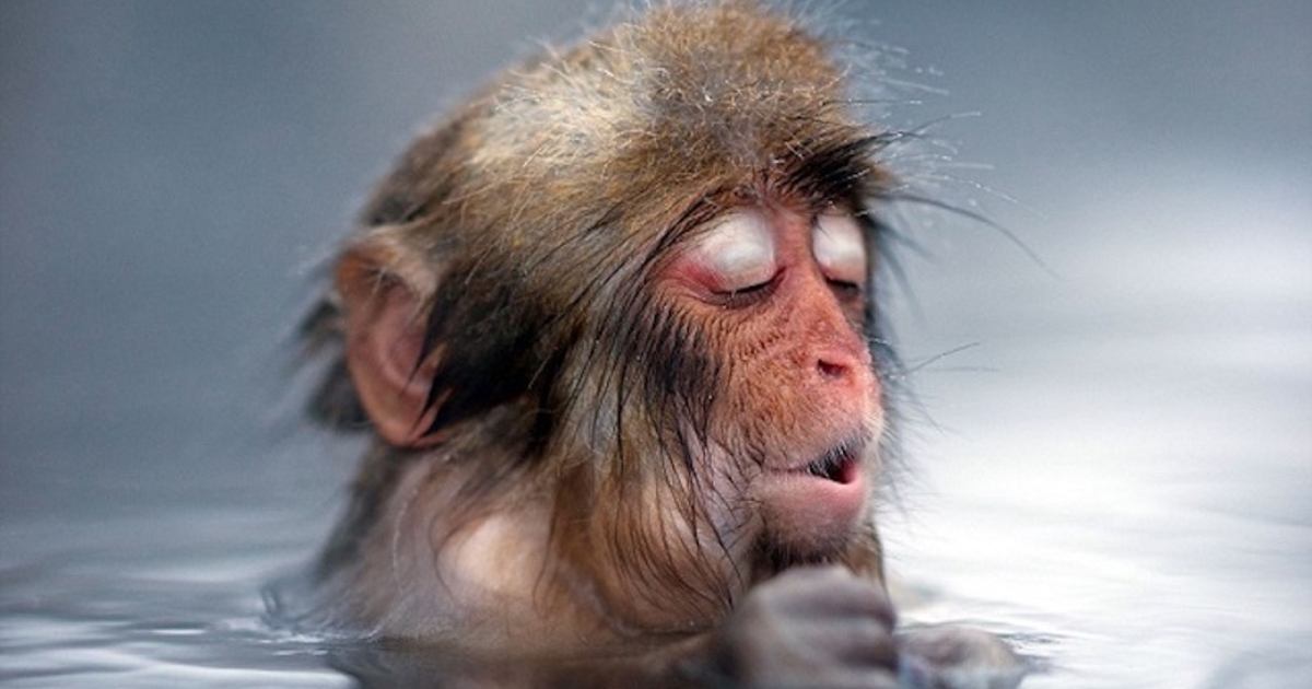 Досвід інших країн: як японці живуть без центрального опалення - IVONA.UA