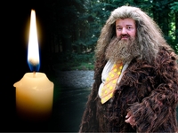 Умер актер Робби Колтрейн, сыгравший Хагрида в фильмах о Гарри Поттере