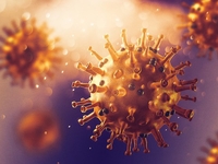 "Цербер" и компания: что известно о новых штаммах коронавируса