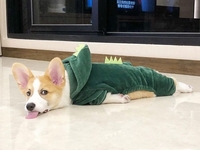 "Счастливый год": знаки зодиака, которые будут бить баклуши в 2023 году