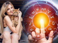 Гороскоп на 8 лютого 2023 року для всіх знаків зодіаку
