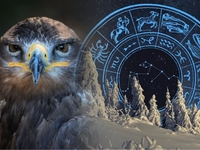 Гороскоп на 16 лютого 2023 року для всіх знаків зодіаку