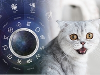 Гороскоп на 18 лютого 2023 року для всіх знаків зодіаку