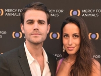 Звезда «Дневников вампира» Пол Уэсли подал на развод после слухов о романе жены с Брэдом Питтом