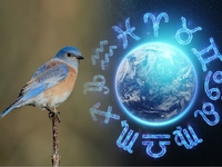 Місяць негативу: знаки Зодіаку, яких чекають невдачі в березні 2023 року