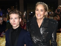 Шэрон Стоун заявила, что лишилась опеки над сыном из-за роли в «Основном инстинкте»