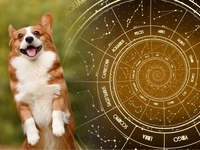 Найрозпусніші астрологічні знаки: ТОП-5