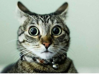 ТОП-5 найнепередбачуваніших знаків зодіаку: від кого чекати несподіванок