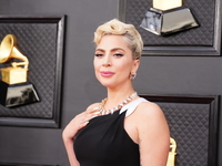 Полицейские устроили засаду в доме Леди Гаги, чтобы задержать ее одержимого фаната