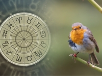 Найлютіший ворог кожного знаку зодіаку: астророзбір