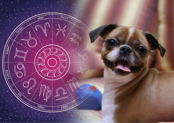 Найкращі друзі за знаком Зодіаку: ТОП-6 пар