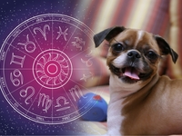 Найкращі друзі за знаком Зодіаку: ТОП-6 пар