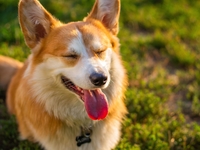 Гороскоп на 7 червня 2023 року для всіх знаків зодіаку