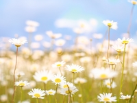 Гороскоп на 10 червня 2023 року для всіх знаків зодіаку