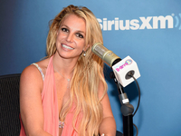 Полиция Лас-Вегаса закрыла дело об избиении Бритни Спирс после краткого расследования