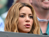 На Шакиру завели еще одно дело о налоговом мошенничестве