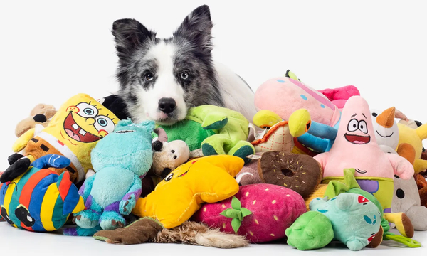Безпечні іграшки для тварин