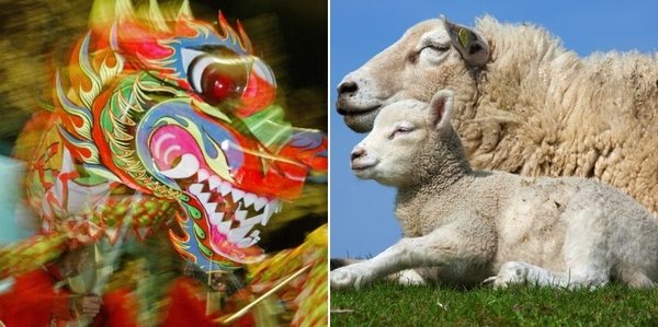 Гороскоп на 2024 год для Овнов на деньги, любовь и здоровье