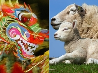 Гороскоп на 2024 год для Овнов на деньги, любовь и здоровье