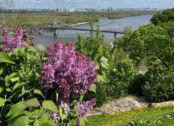 Гороскоп на 14 травня для всіх знаків зодіаку: язик мій – ворог мій