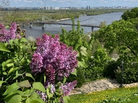 Гороскоп на 14 травня для всіх знаків зодіаку: язик мій – ворог мій