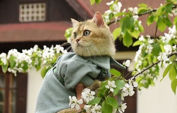 Гороскоп на 15 мая для всех знаков зодиака: кому поможет интуиция