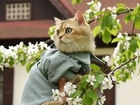 Гороскоп на 15 мая для всех знаков зодиака: кому поможет интуиция