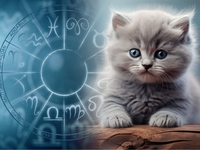 Сладкие как сахар: самые сострадательные и ласковые знаки зодиака