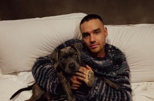 Похороны Лиама Пейна: кто из звезд присутствовал на церемонии прощания