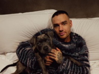 Похороны Лиама Пейна: кто из звезд присутствовал на церемонии прощания